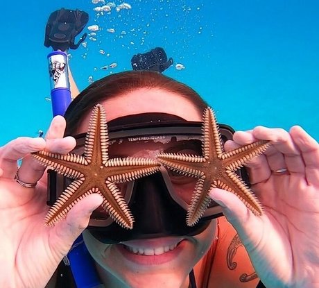 Taylor Francis star best photos