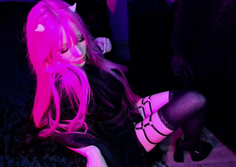 lily angelic cat free best star images