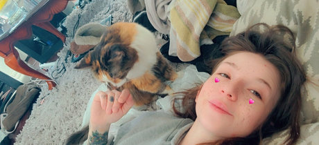 snoot star hd photos