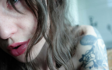 snoot star nice gallery