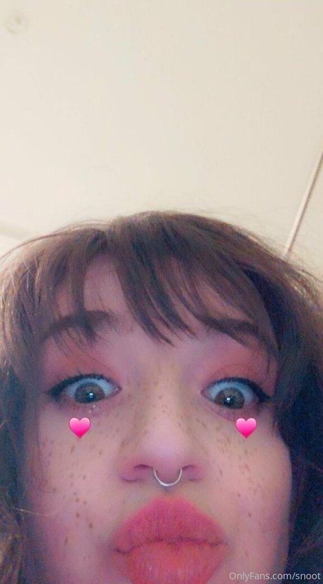 snoot model art images