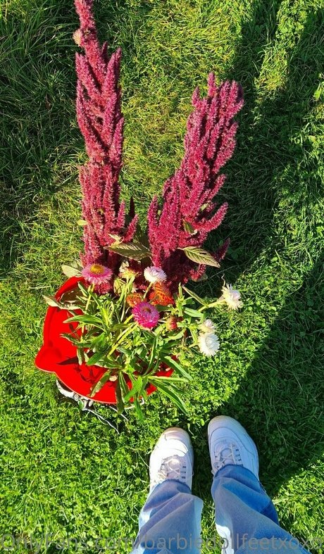 barbiedollfeetxoxofree model porn picture