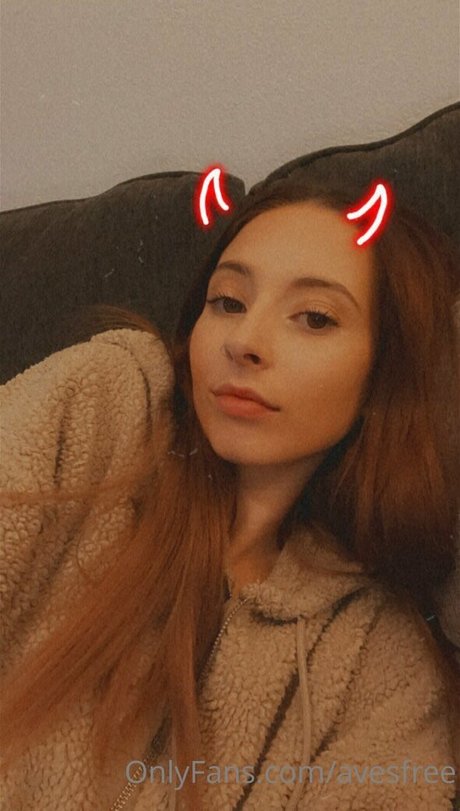 Avesfree best model img