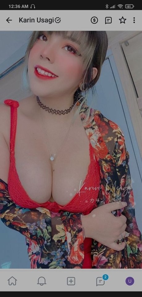 Karin Usagi free actress archive