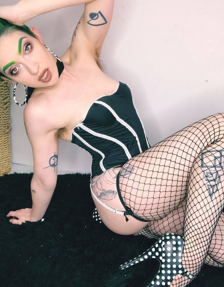 lolobrow star nice picture