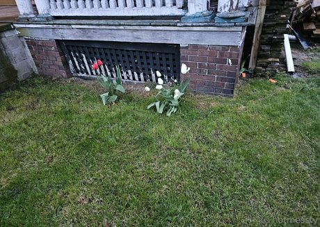 hotmesstv porn model photos