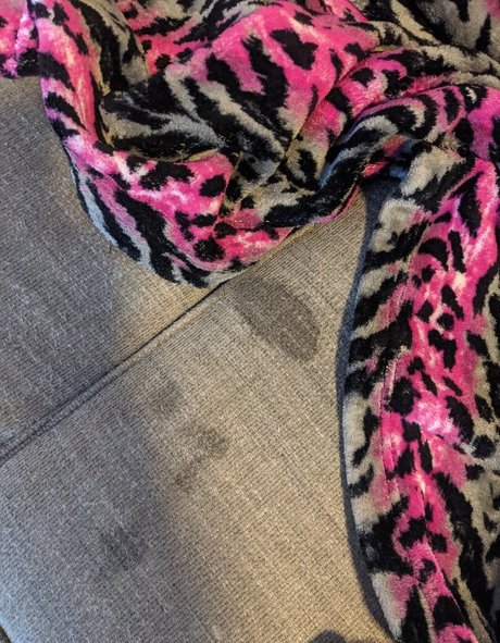 ashlynn212 hd actress img