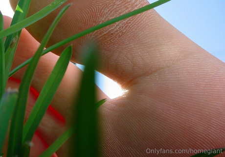 homegiant model perfect image