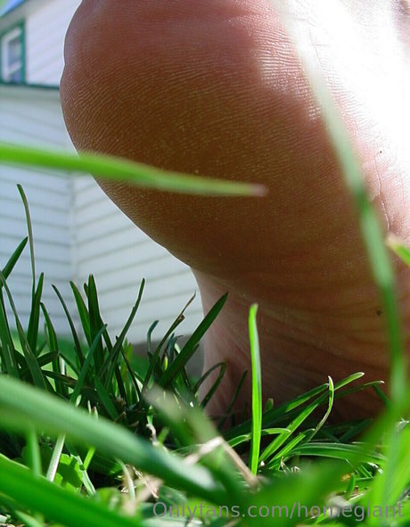 homegiant star best photo