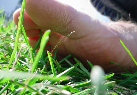 homegiant pornstar exclusive pictures