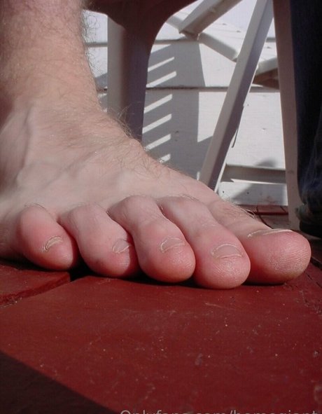 homegiant pornstar free pics