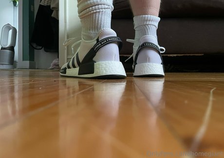 homegiant hd model photo