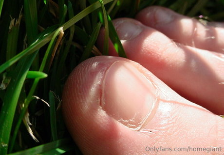 homegiant art star pictures