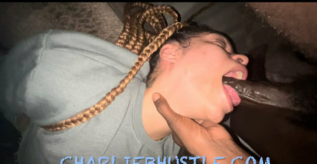 bigmingo pornstar art archive