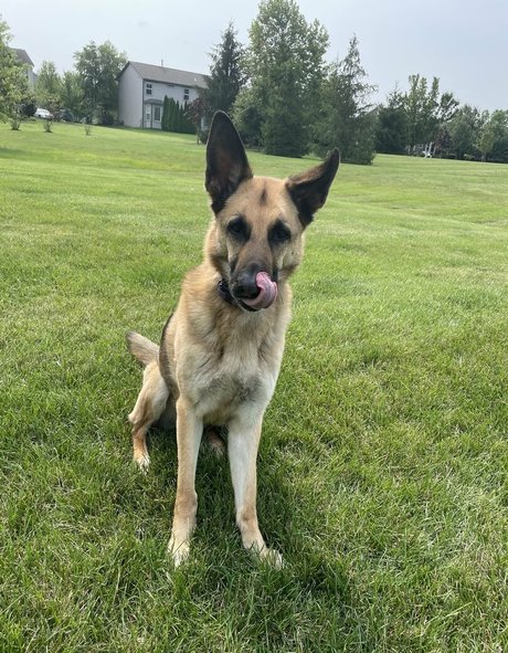 doubledboatgirl vip perfect star pictures