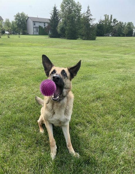 doubledboatgirl vip beautiful model picture