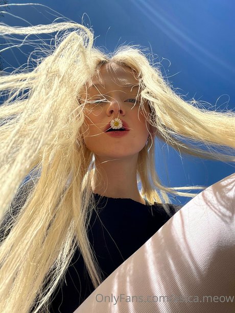 Asica pornstar free archive