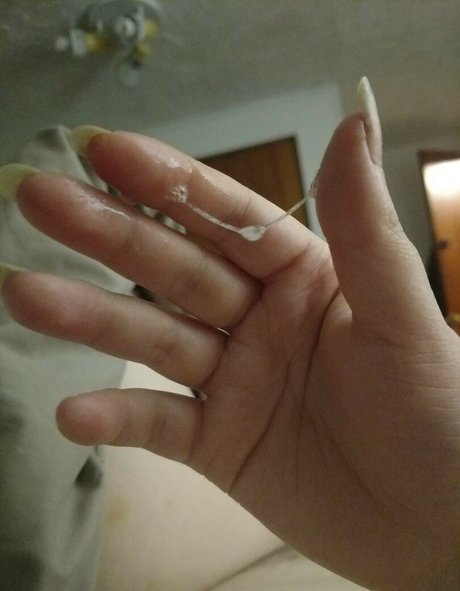 blabbercat star hd img