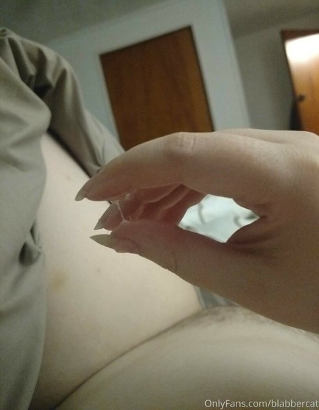 blabbercat pornstar adult img