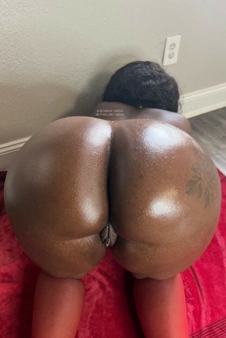 Tamekia perfect star archive