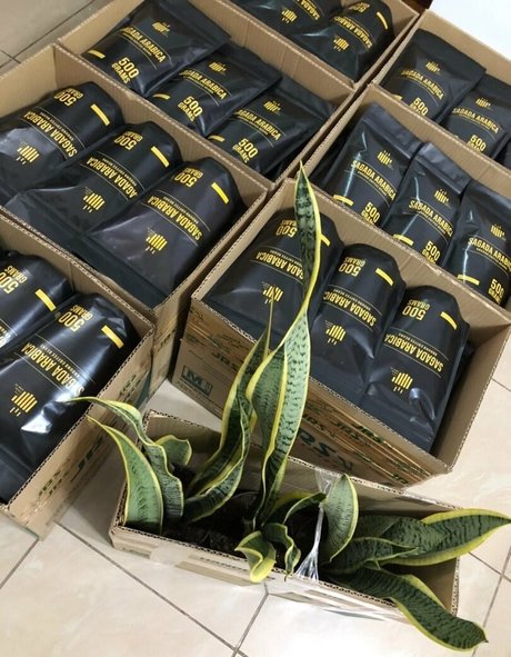 paoloamoresfree beautiful pornstar pics