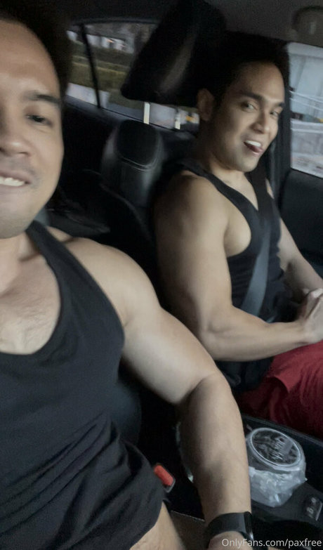 paoloamoresfree art star pic