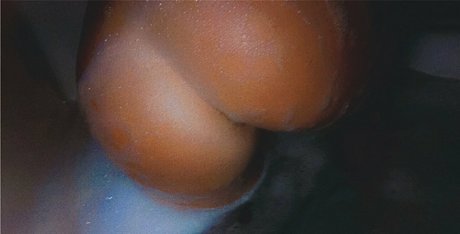 natttyb sex model images