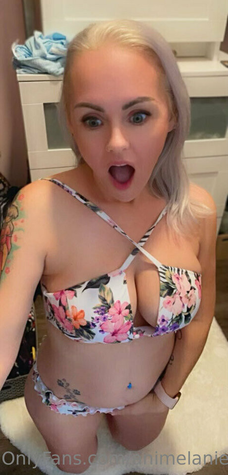 animelaniefree star nice photo