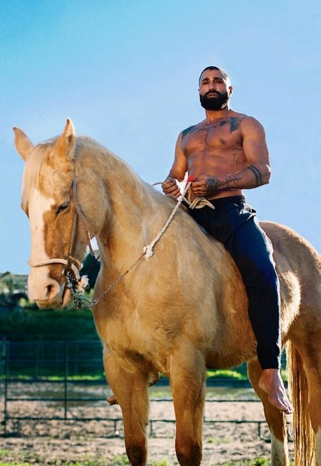 thesharok star hd img