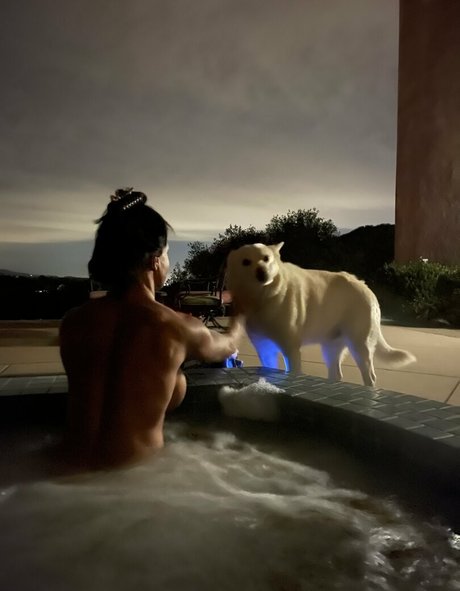 jewels jade vip pornstar art picture