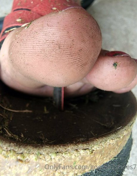 goodie2shoes7 nudes actress photo