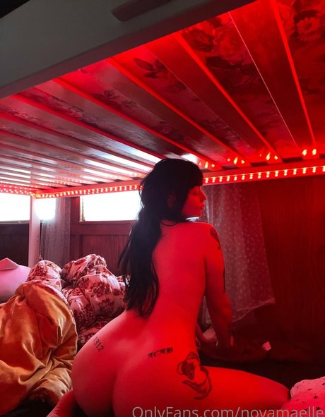 Nova Maelle beautiful star picture