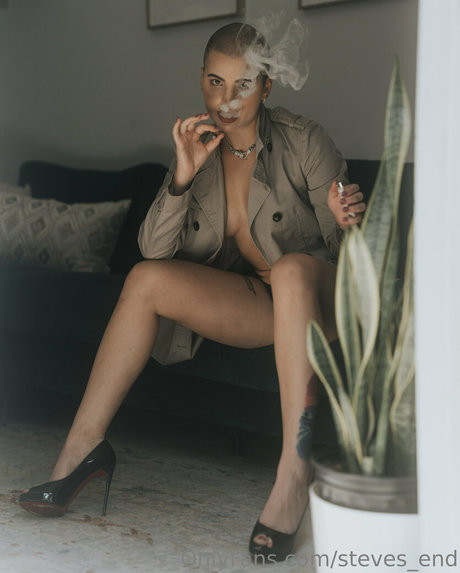 steves end art star galleries