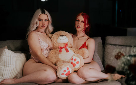 steves end star exclusive gallery