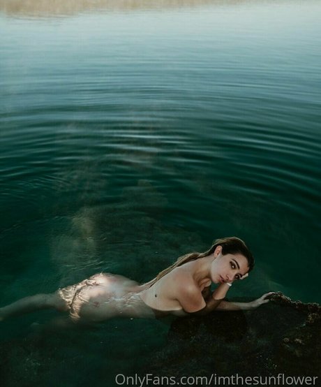 imthesunflower model top archive