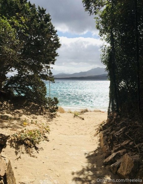 freeleila Profile pic