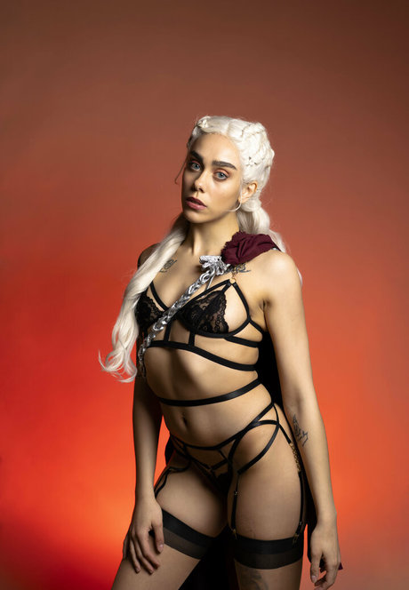 norcro photo art star pics