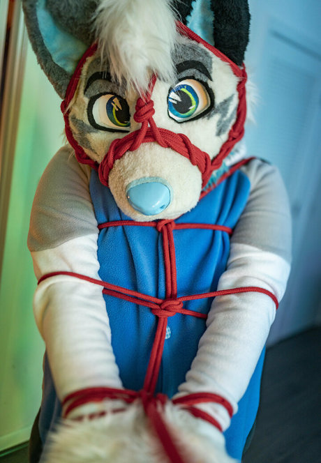 ad dragonwolf high quality actress images