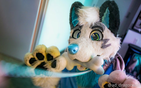 ad dragonwolf xxx model pics