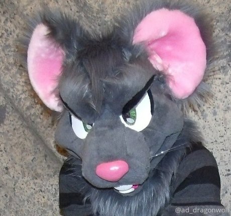 ad dragonwolf hd actress gallery