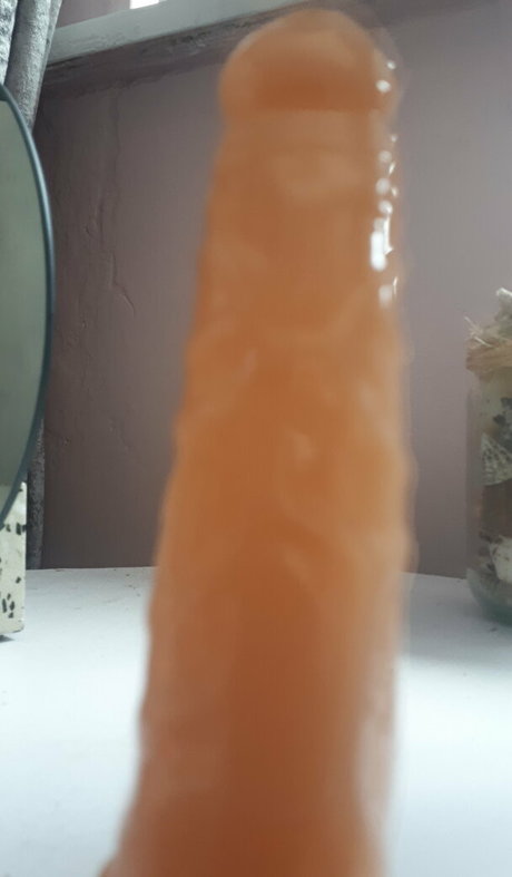 councilcutie star pretty picture