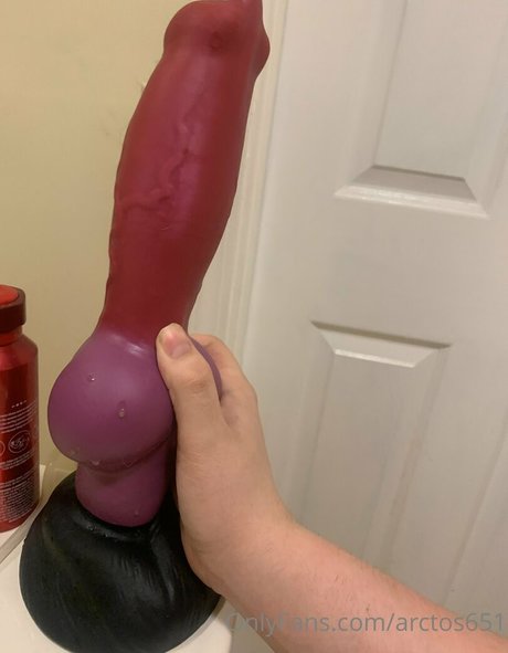 arctos651 pornstar nude photo