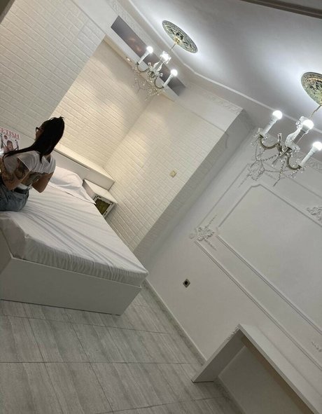 Emona model top images