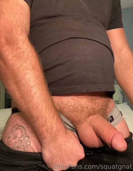 squatgnat star beautiful image