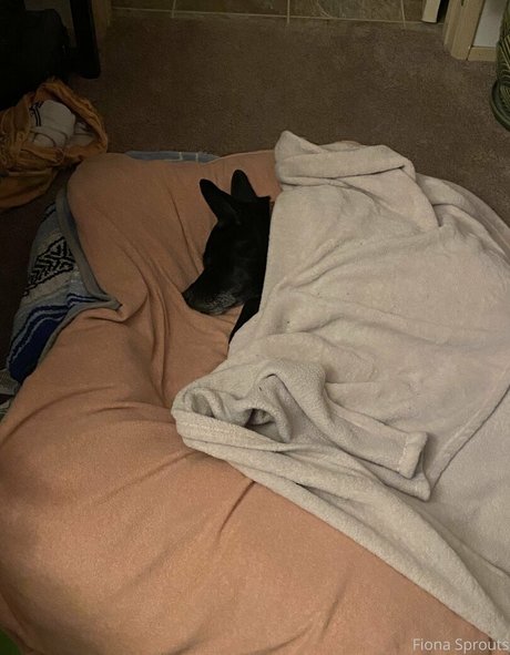 unknown onlyfans nudes gallery