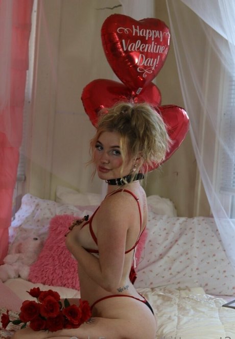 Kittycourty art star archive