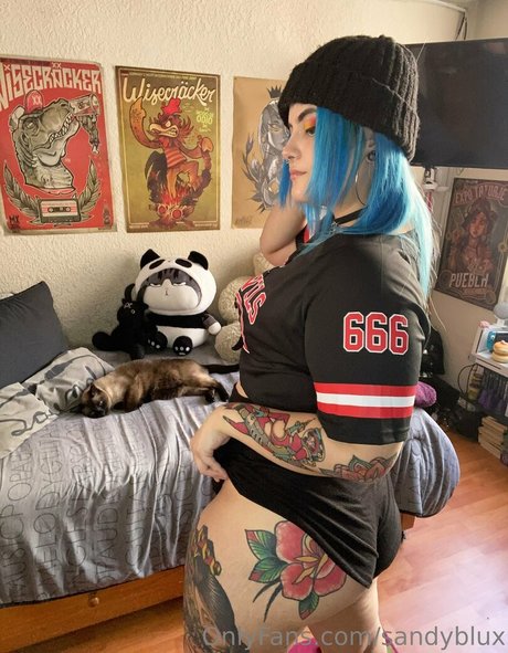 sandyblux star perfect img