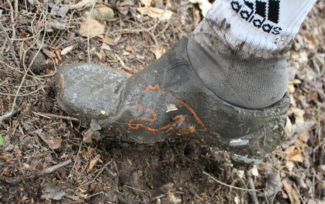 islandermud star sexy images