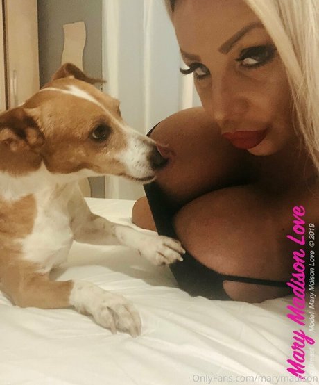 marymadison pretty pornstar galleries