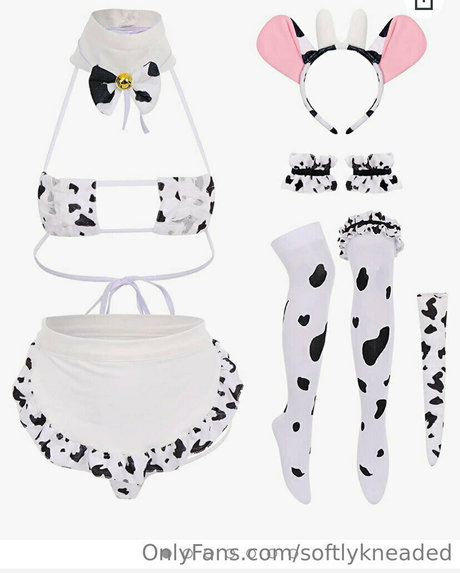 softlykneaded star top photo